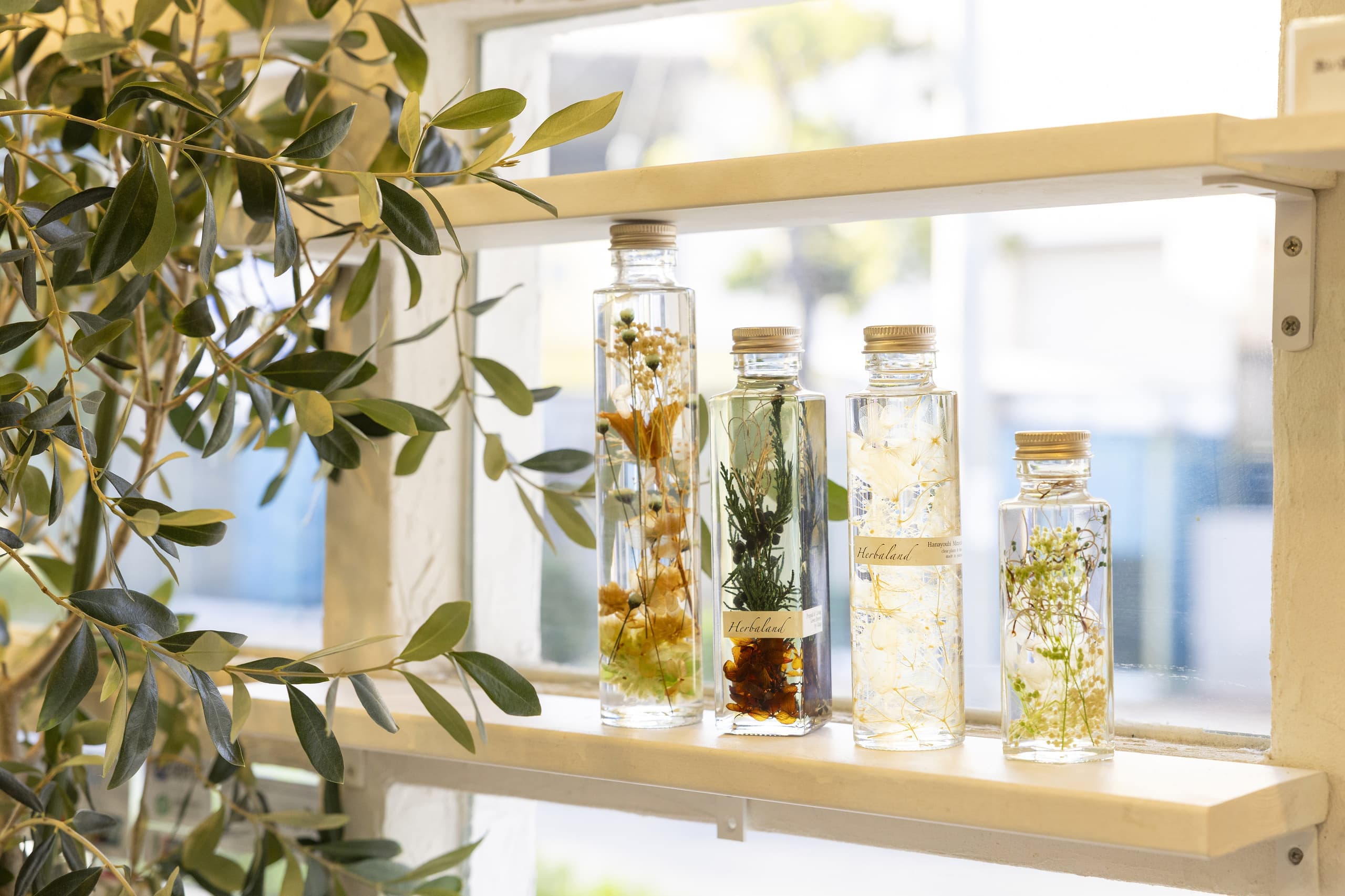 綾瀬の美容室LEMONadeの受付から見える小物